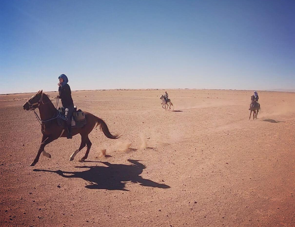 Randonnée à cheval au Maroc dans le désert du Sahara et les oasis sacrées