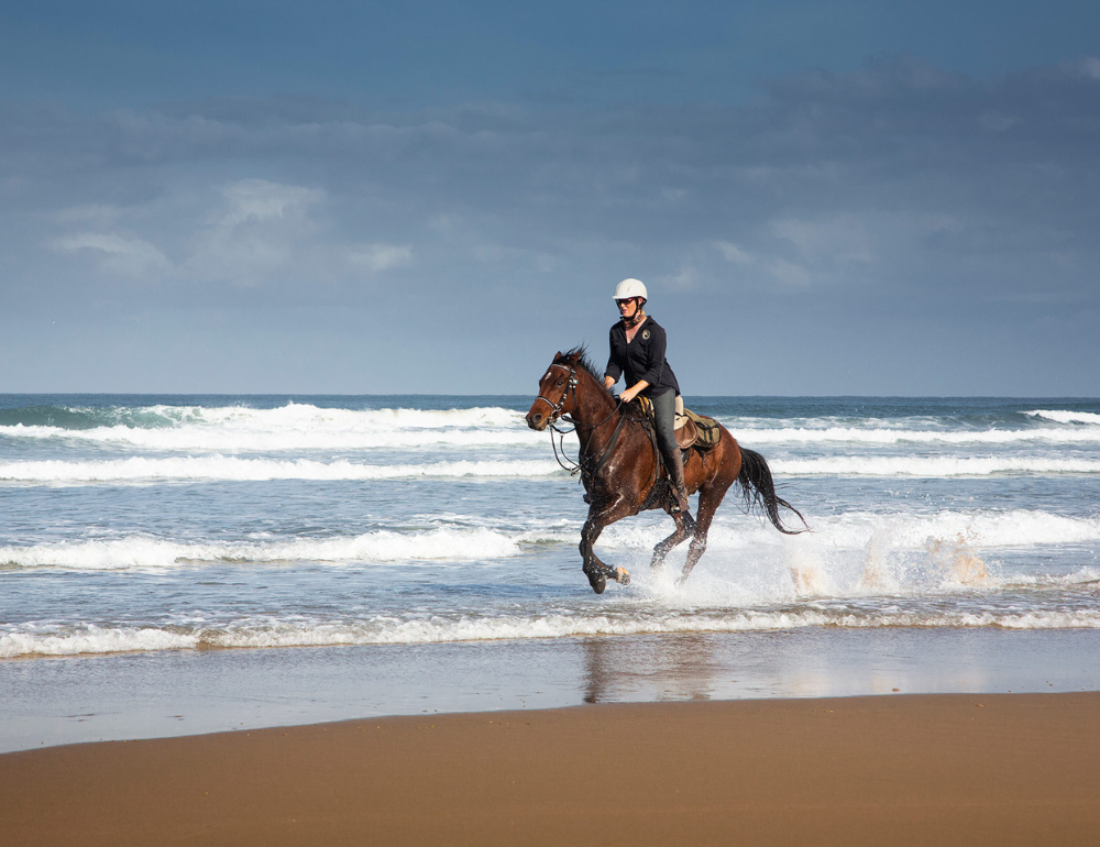 Randonnée à cheval et détente sur la Wild Coast