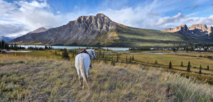 Expedition équestre à la frontière de l