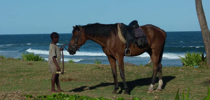 Escapade équestre au bout du monde entre océan indien, lagunes et forêts luxuriantes de la côte Est Malgache - Caval&go 