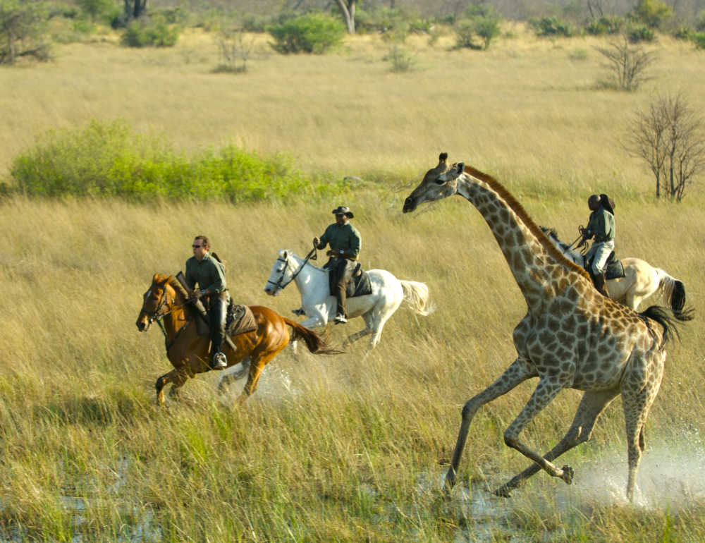 Safari à cheval dans l’Okavango au Botswana