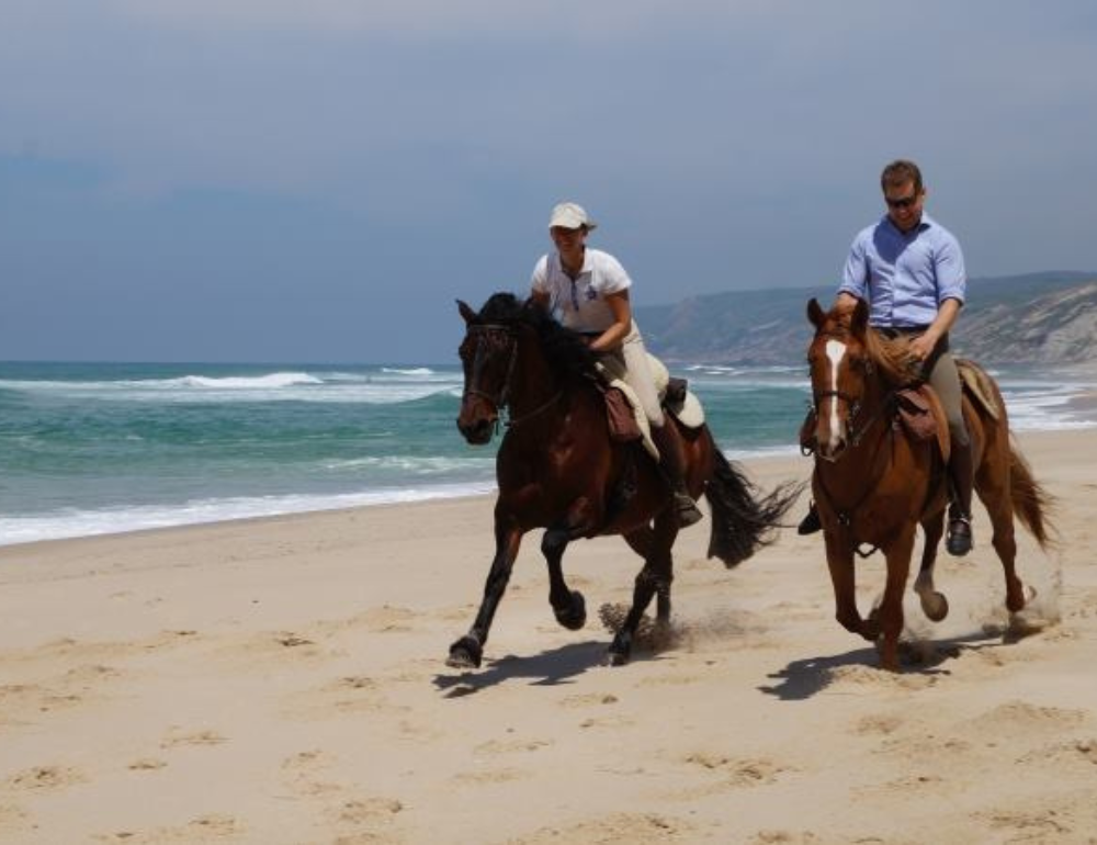 Voyage à cheval au Portugal sur la côte Atlantique au nord de Lisbonne