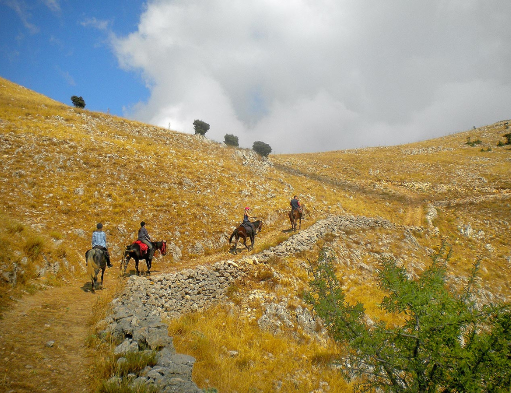Séjour à cheval dans les Madonies de Sicile