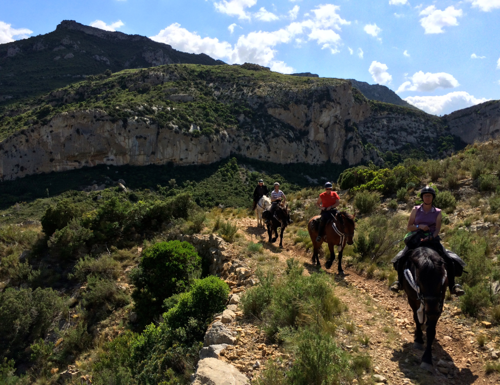 Randonnée équestre des Pyrénées à la Méditerranée