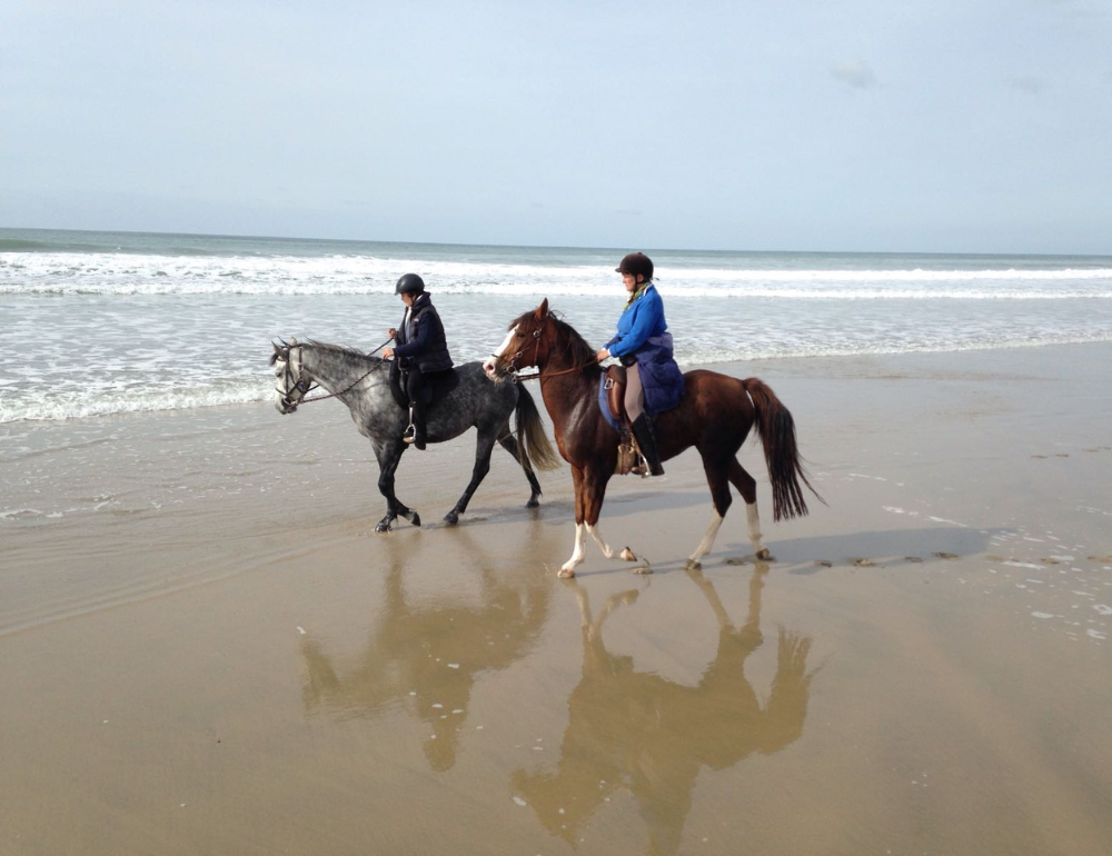 Randonnée à cheval entre terre et mer, au coeur du Médoc