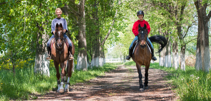 Jour 2. Circuit nature à cheval en forêt de Rambouillet - Puis Grand Prix à Paris