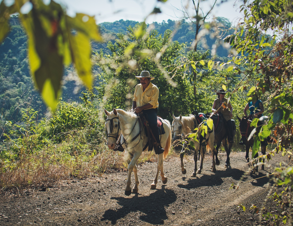 Eco Safari dans la nature sauvage et préservée du Costa Rica 