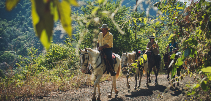 Eco Safari dans la nature sauvage et préservé du Costa Rica - Caval&go