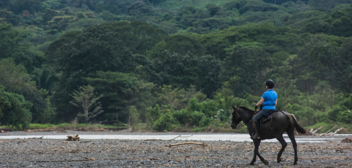 Eco Safari dans la nature sauvage et préservé du Costa Rica - Caval&go