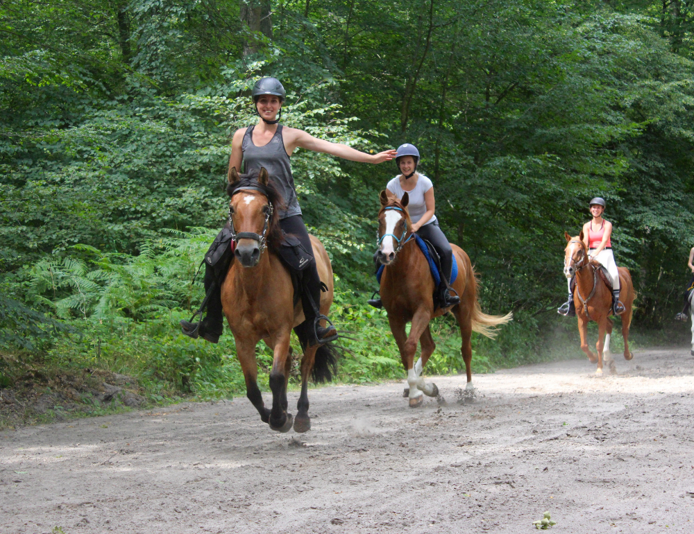 Week end équestre, week end à cheval : balade et randonnée, stage