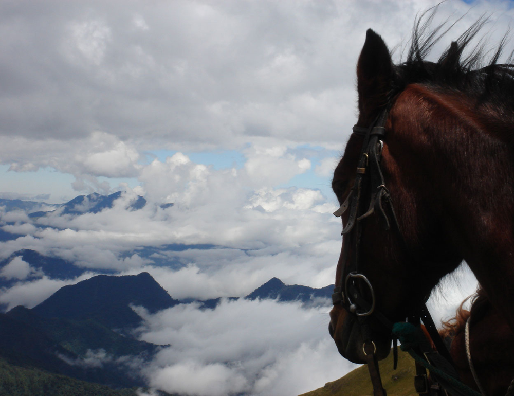 Randonnée à cheval entre volcans et Haciendas en Equateur