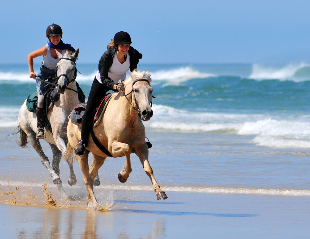 Randonnée équestre sur les plages de l'Atlantique