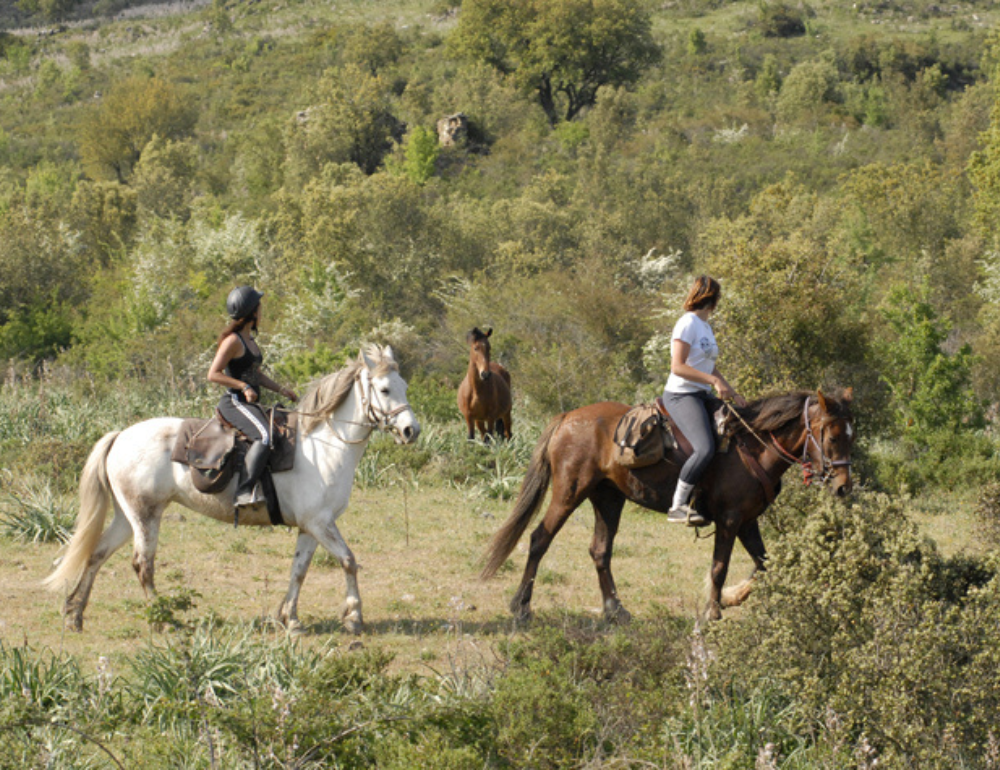 Initiation à la randonnée équestre en Corse