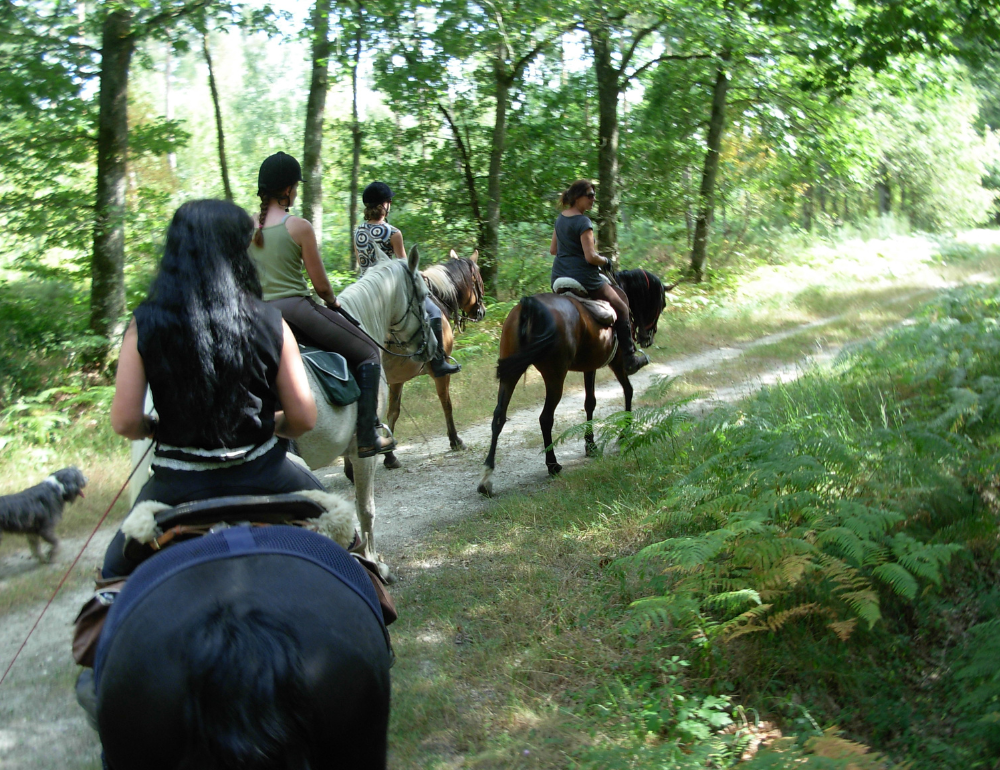 Week-end à cheval en forêt d'Orléans 