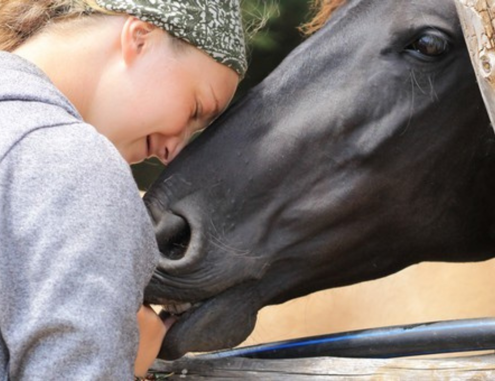 Séjour complice à cheval au Chili