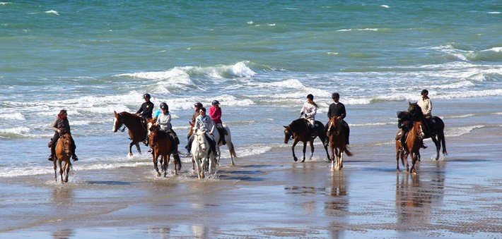Jour 2. Journée complète à cheval entre pinède et plage du Médoc