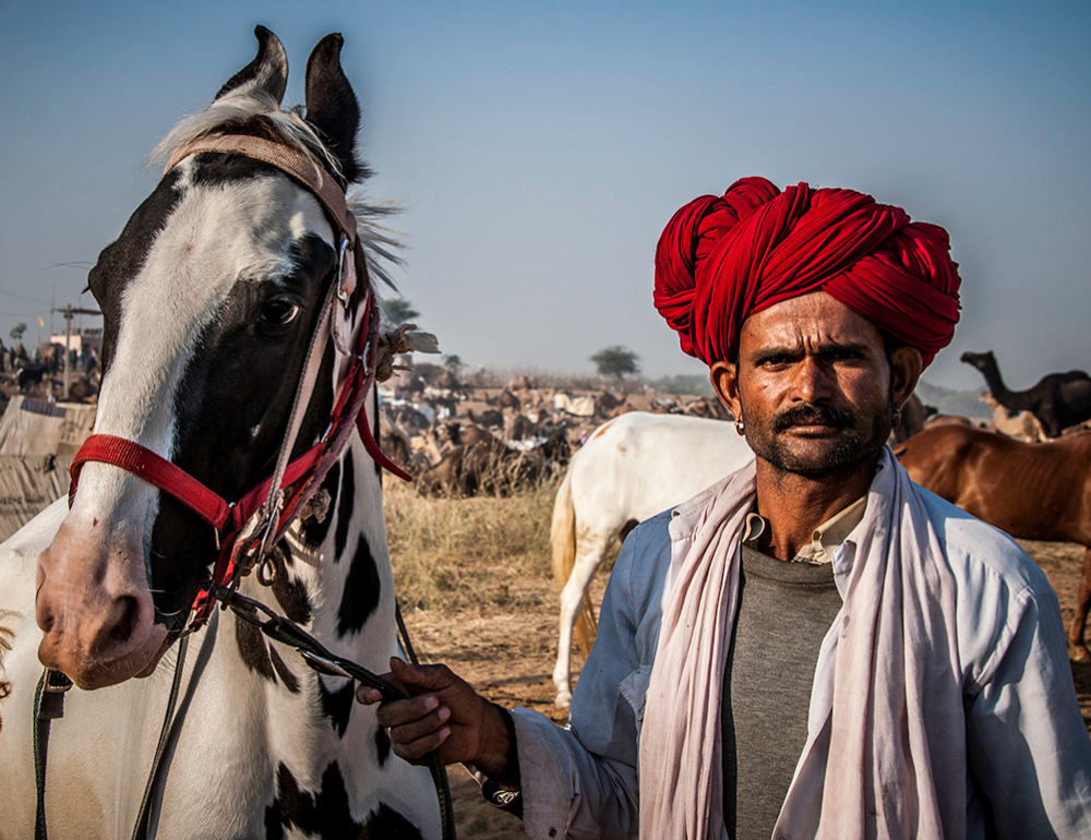 Randonnée à cheval en Inde pour la grande foire de Pushkar