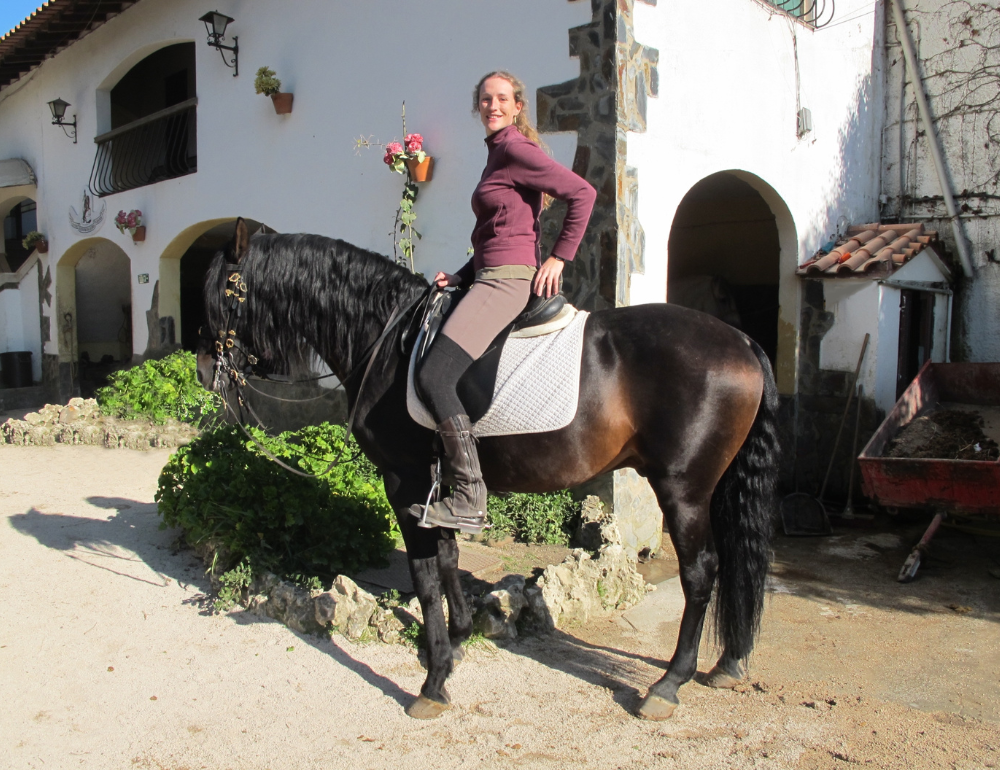 Stage de dressage à cheval au Portugal au pays de Nuno Oliveira