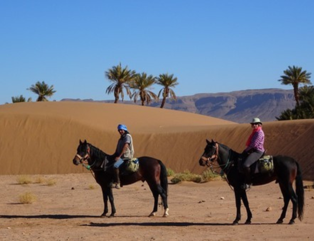 Rando à cheval au Maroc dans les jardins secrets du désert