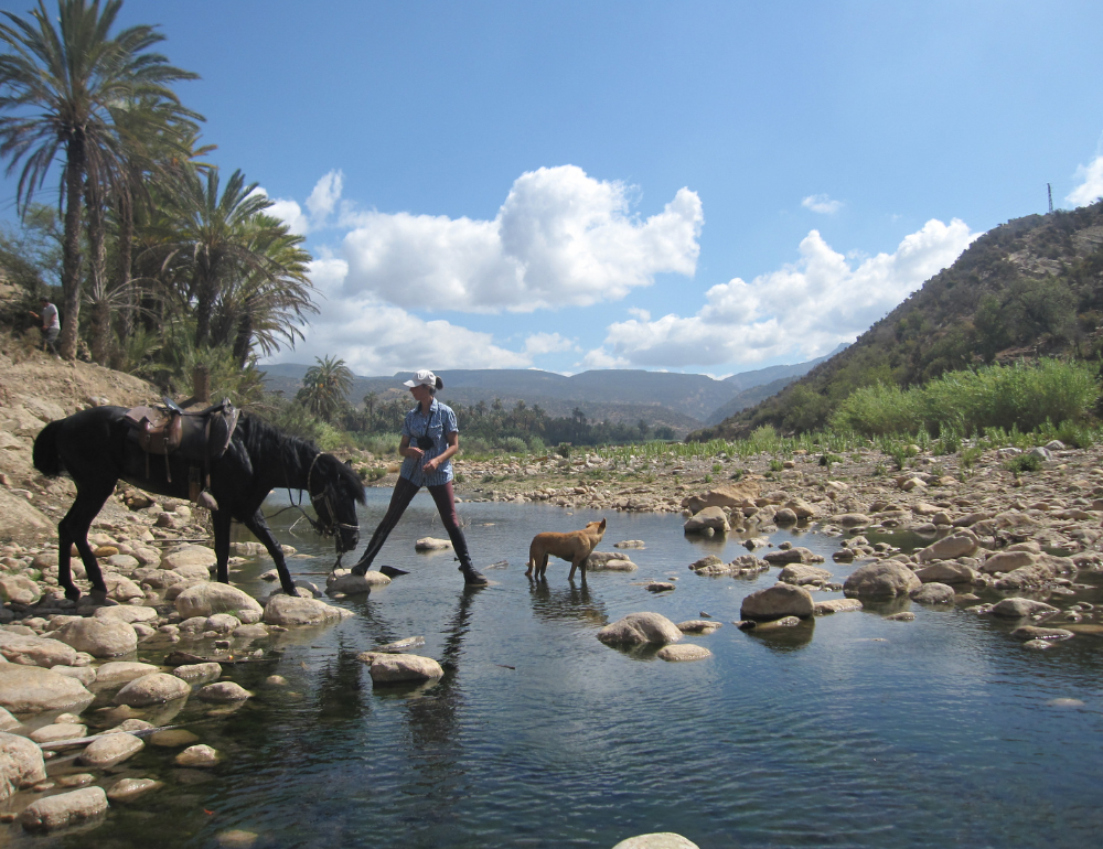 Randonnée à cheval dans les oasis, petits paradis du Maroc