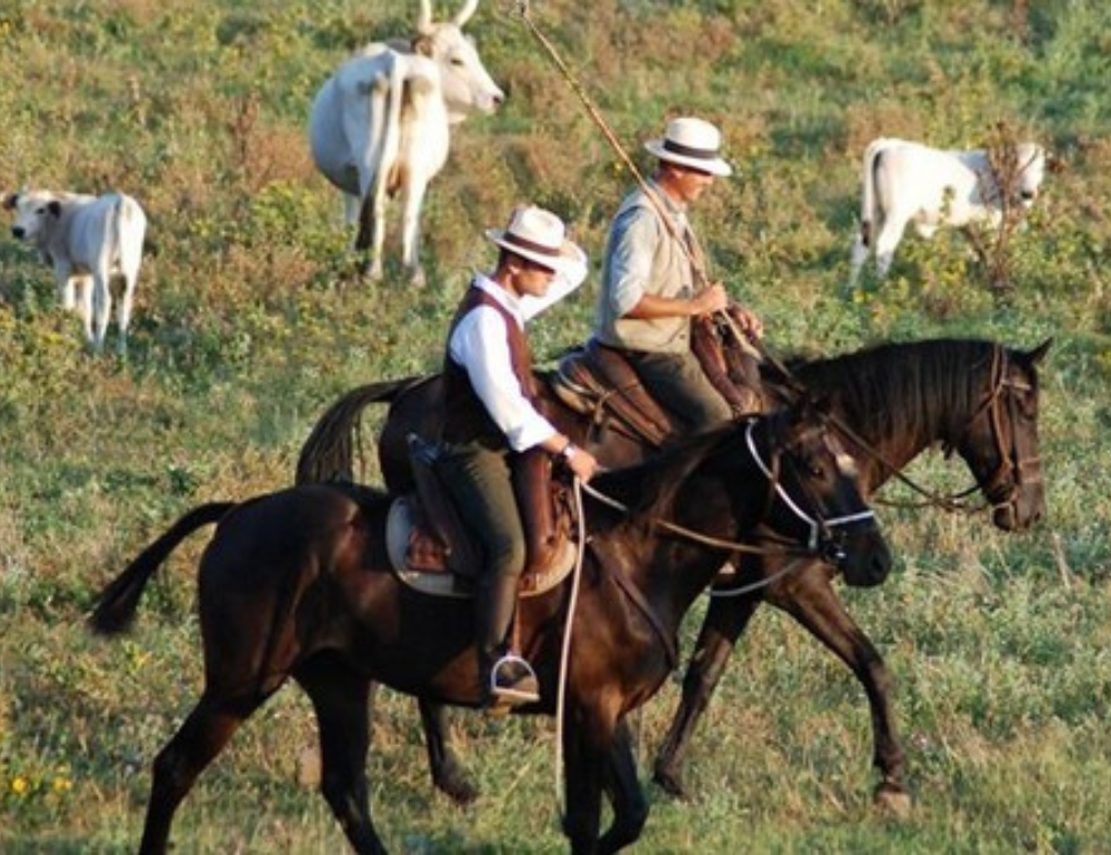 Randonnée équestre sur les terres des Butteri, les cowboys de Toscane