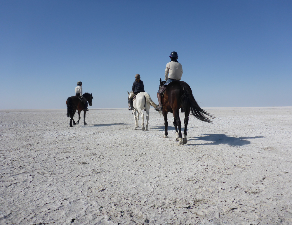 Safari à cheval du delta de l'Okavango au désert du Kalahari au Botswana