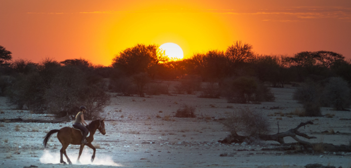 Safari équestre et multi-activités en Namibie aux portes du Kalahari - Caval&go