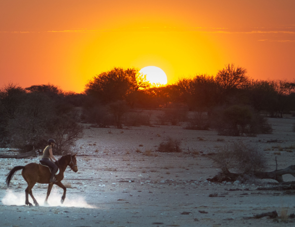 Safari équestre et multi-activités en Namibie aux portes du Kalahari