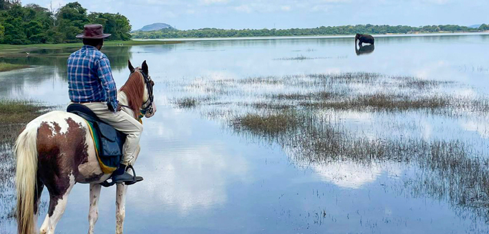 Safari équestre et multi-activités en Namibie aux portes du Kalahari - Caval&go