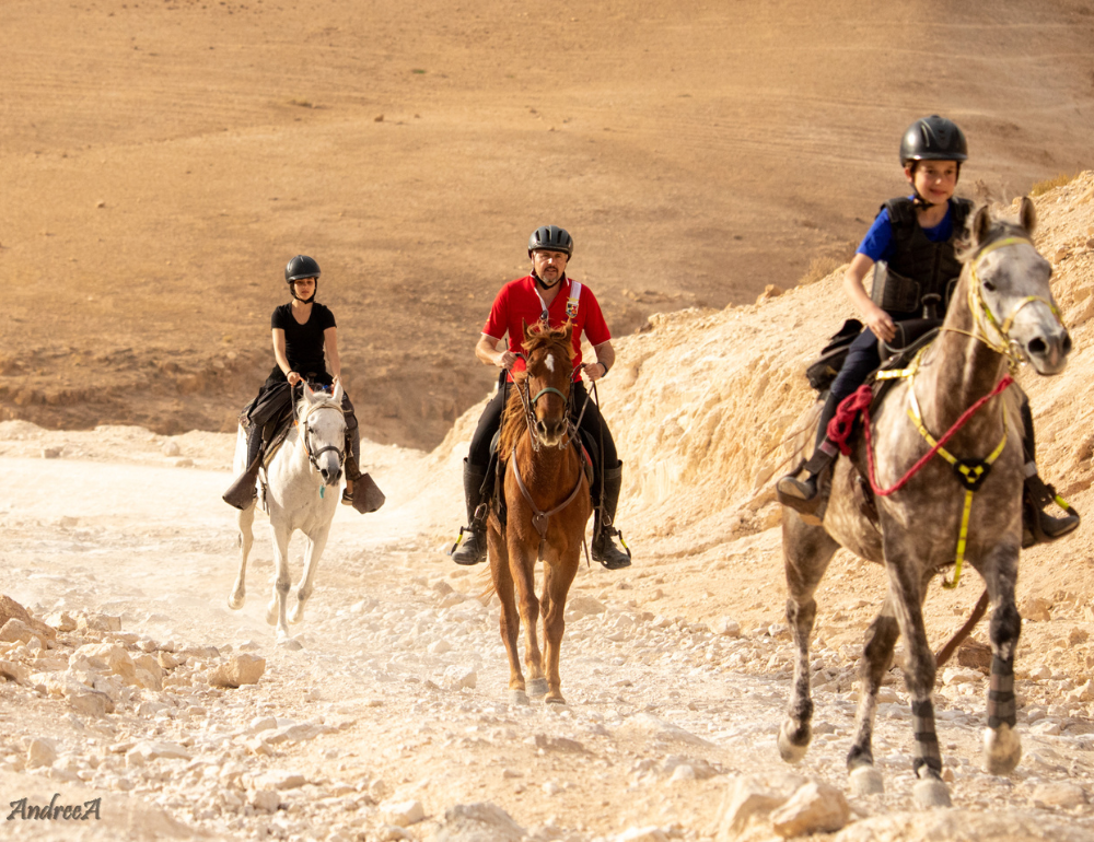 Randonnée à cheval le Tour d'Israël 