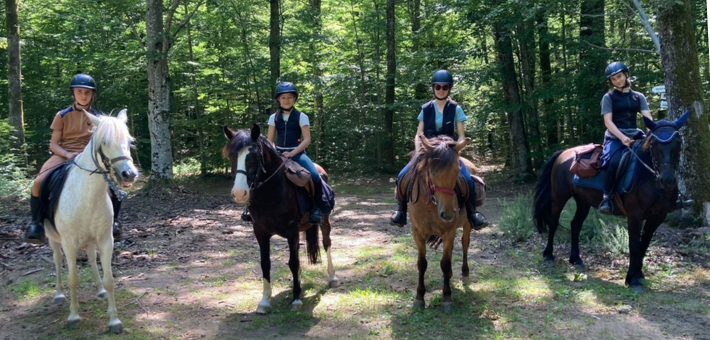 Jour 5. Vendredi - Bois du village d'Alboussière
