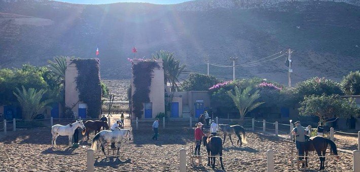 Jour 1. Arrivée à Agadir / Maroc - Transfert au ranch marocain