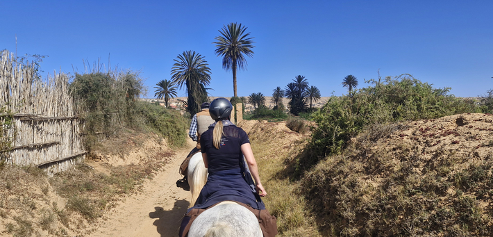 Jour 6. Randonnée à cheval : Palmeraie de Massa