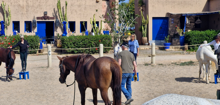 Jours 2, 3 et 4. Stage Ethologie au Ranch avec Thierry Lhermitte