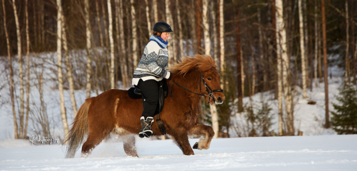 Séjour à cheval dans la neige, avec chiens de traîneau, ski et randonnée en Laponie suédoise - Caval&go