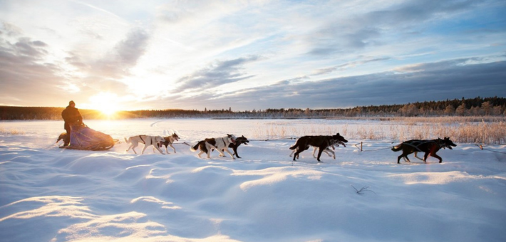 Séjour à cheval dans la neige, avec chiens de traîneau, ski et randonnée en Laponie suédoise - Caval&go