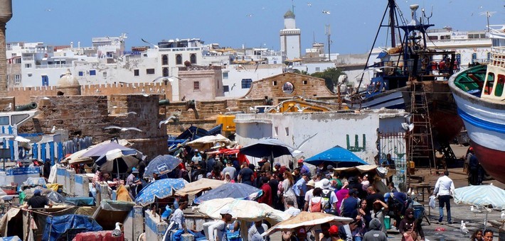 Jour 7 – Sidi Kaouki - Essaouira
