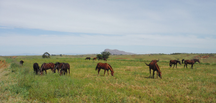 Escapade équestre au bout du monde entre océan indien, lagunes et forêts luxuriantes de la côte Est Malgache - Caval&go 