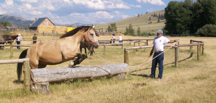 Séjour en ranch à la découverte de la méthode Parelli dans le Montana - Caval&go
