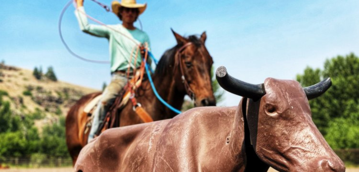 Séjour en ranch à la découverte de la méthode Parelli dans le Montana - Caval&go