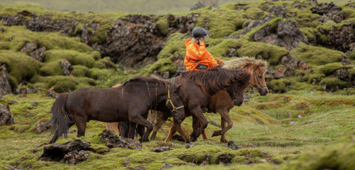 Randonnée équestre autour du volcan de Hengill en Islande - Caval&go