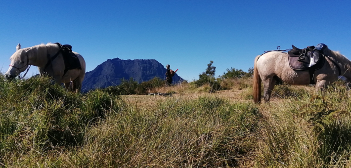 Jour 2. Arrivée et rencontre de vos montures 