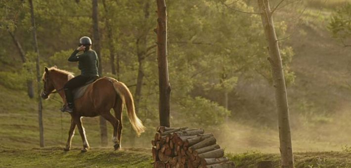 Jour 5. Initiation au tir à l'arc à cheval et découverte de la flore locale 