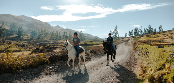 Jour 4. Vallée du Colca et rencontre les chevaux 