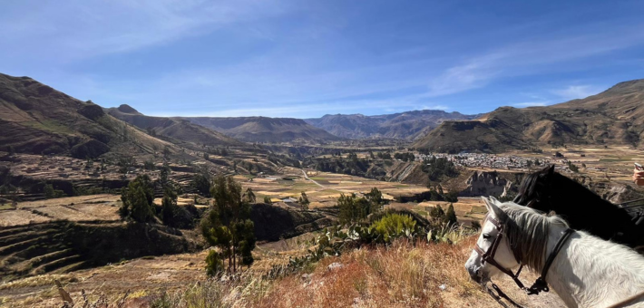 Jour 5. Coporaque - Uyo Uyo - Yanque