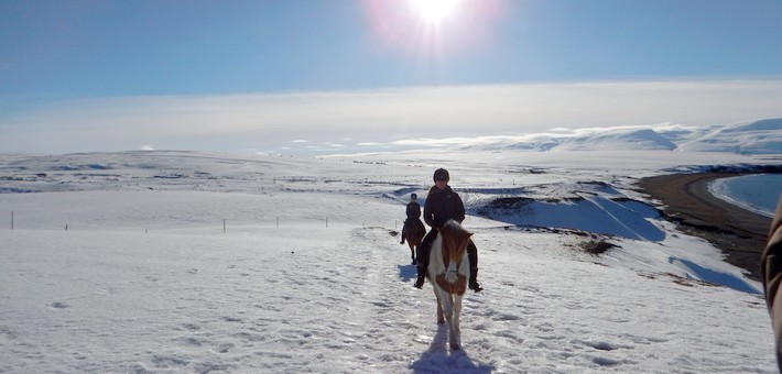 Jour 2. Vol intérieur pour Húsavík - découverte de l'équitation islandaise