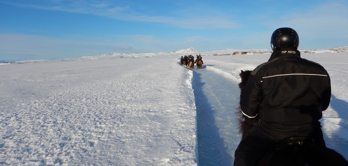 Jour 3. Randonnée à cheval au bord de l'Arctique - Húsavík