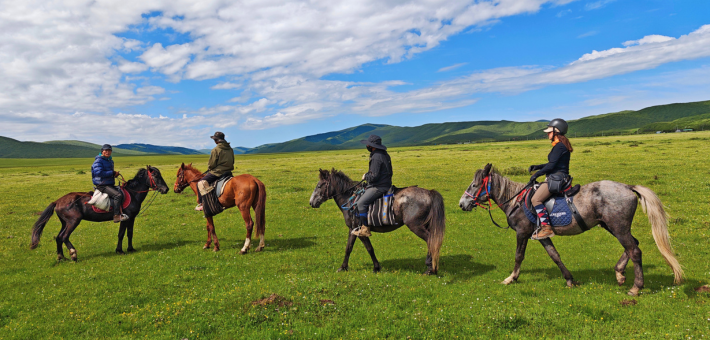 Jour 11. Observation de la vie sauvage au cœur des marais de Ruoergai
