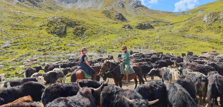 Jour 8. Dernière journée dans les montagnes d