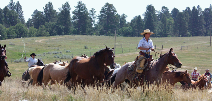 À la conquête du Far West : séjour en immersion chez les cow-boys du Wyoming - Caval&go